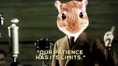 Breaking: You Are All Gerbils