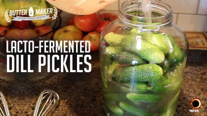 Lacto-Fermented Dill Pickles