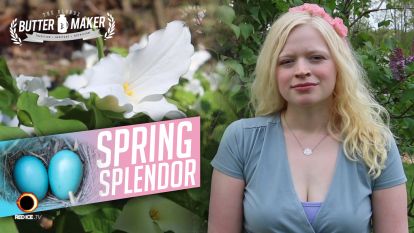Spring Splendor