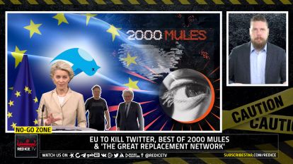 EU To Kill Twitter, Best Of 2000 Mules & 'The Great Replacement Network'