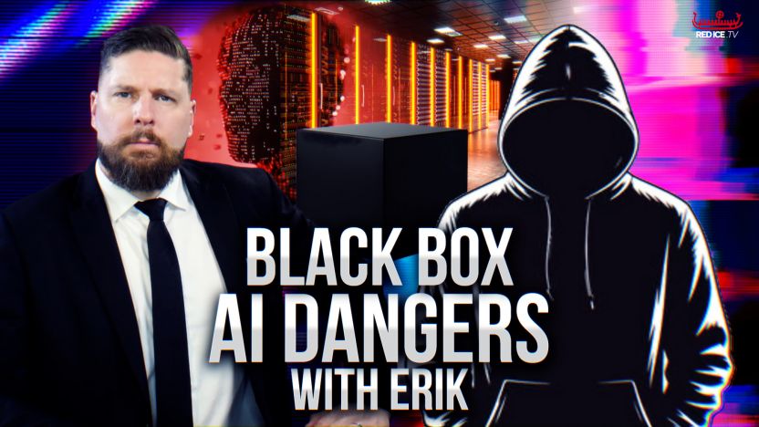 The Black Box Gamble: Known And Unknown Dangers of AI